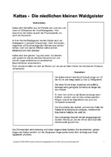 Steckbrief-Katta-Seite-1.pdf